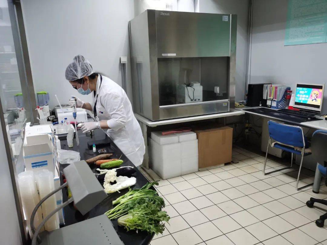 通许食品检测实验室装修方案